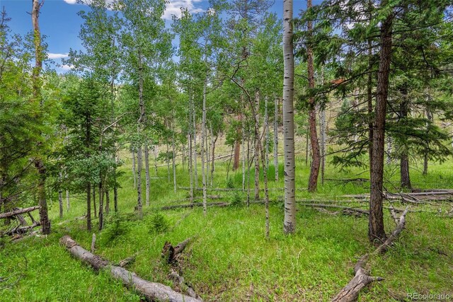 135 Linda Trl, Bailey, CO 80421 - photo 15