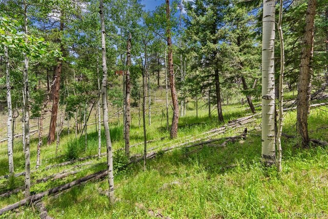 135 Linda Trl, Bailey, CO 80421 - photo 16