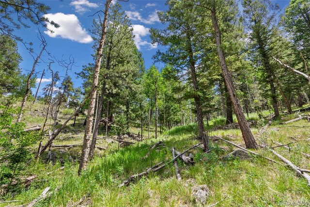 135 Linda Trl, Bailey, CO 80421 - photo 17