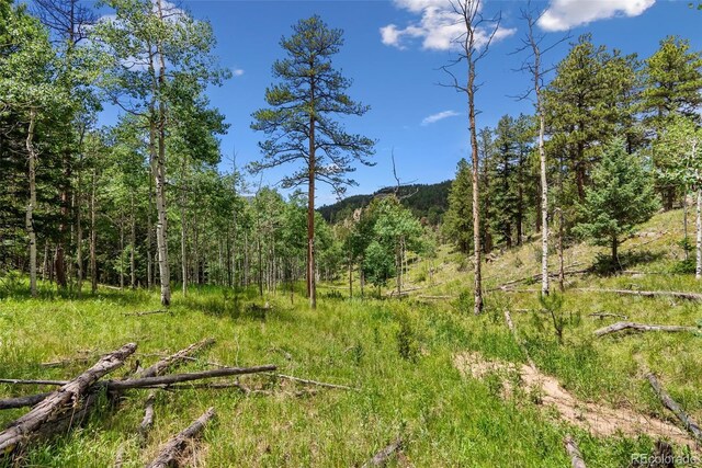 135 Linda Trl, Bailey, CO 80421 - photo 18