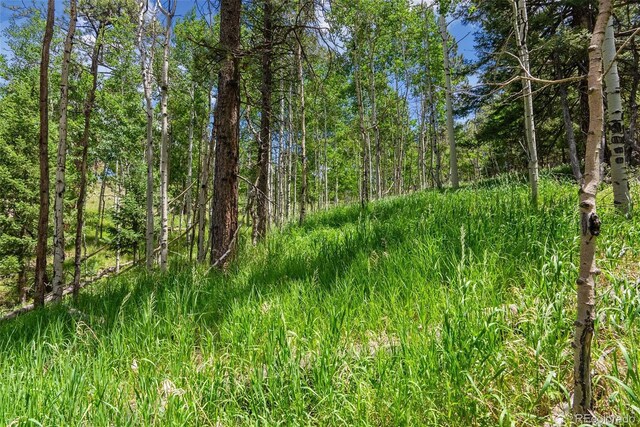 135 Linda Trl, Bailey, CO 80421 - photo 19