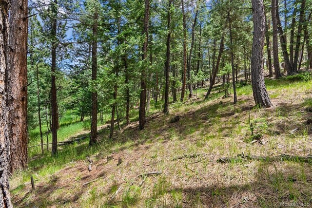 135 Linda Trl, Bailey, CO 80421 - photo 20