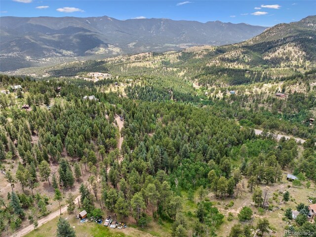 135 Linda Trl, Bailey, CO 80421 - photo 21
