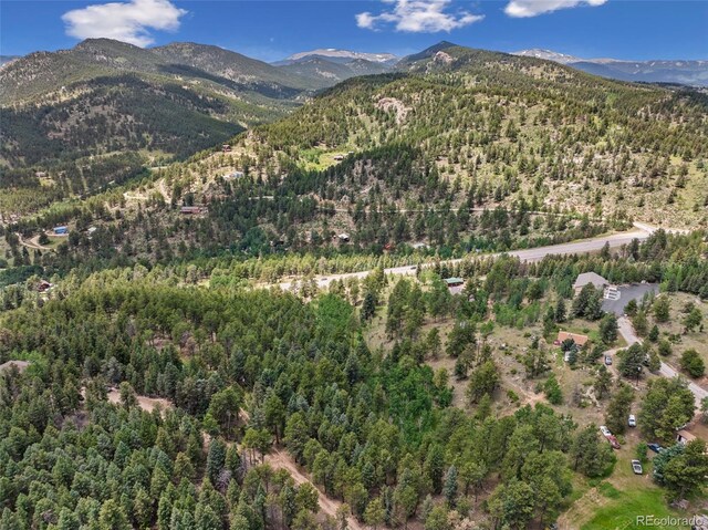 135 Linda Trl, Bailey, CO 80421 - photo 22