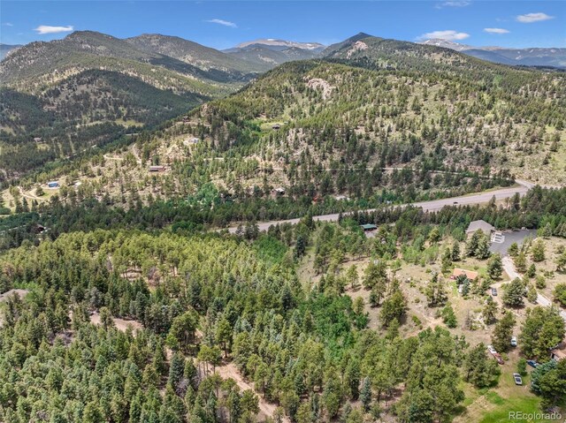 135 Linda Trl, Bailey, CO 80421 - photo 23