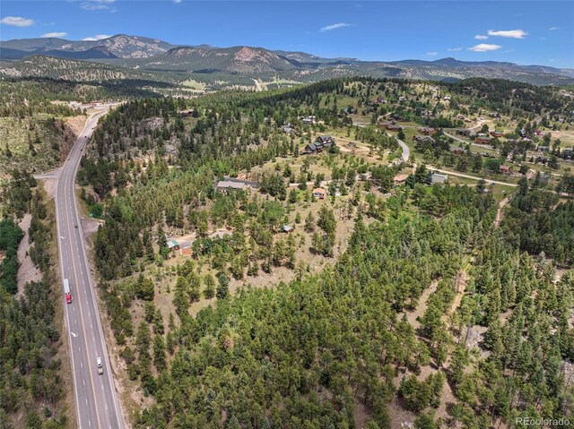 135 Linda Trl, Bailey, CO 80421 - photo 24
