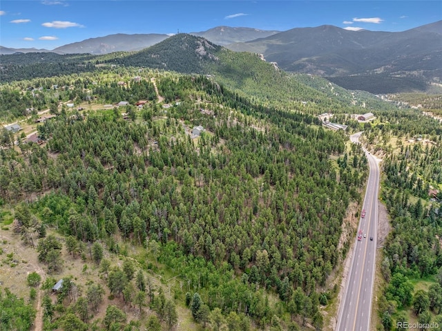 135 Linda Trl, Bailey, CO 80421 - photo 25