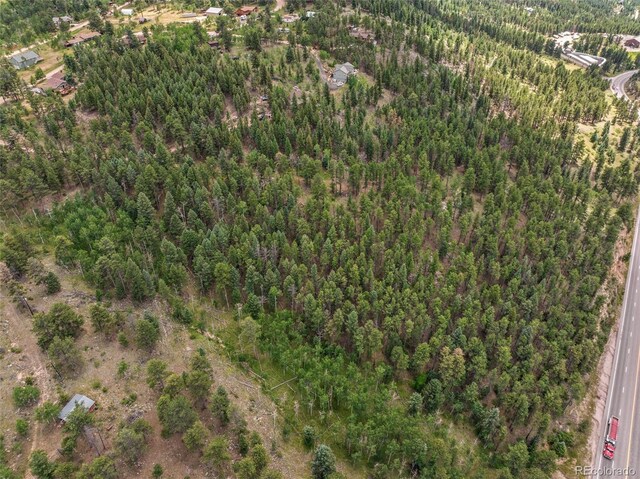 135 Linda Trl, Bailey, CO 80421 - photo 26
