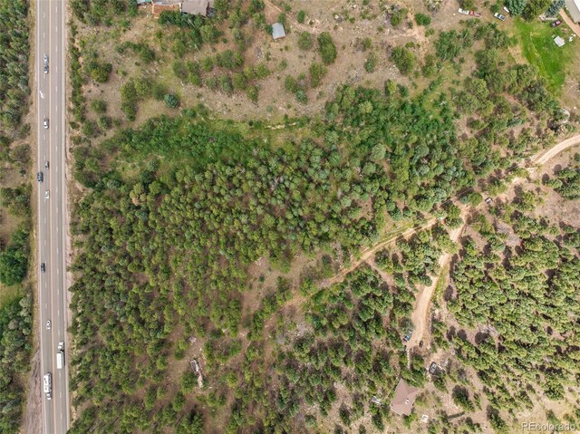 135 Linda Trl, Bailey, CO 80421 - photo 27