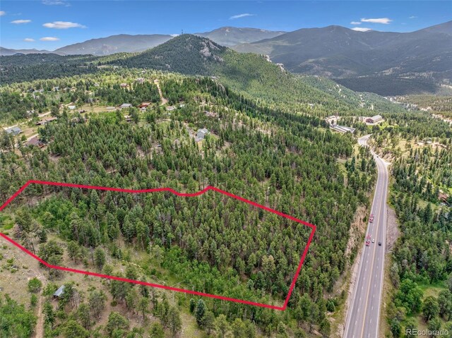 135 Linda Trl, Bailey, CO 80421 - photo 29