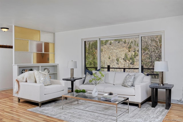 living area featuring baseboards and wood finished floors