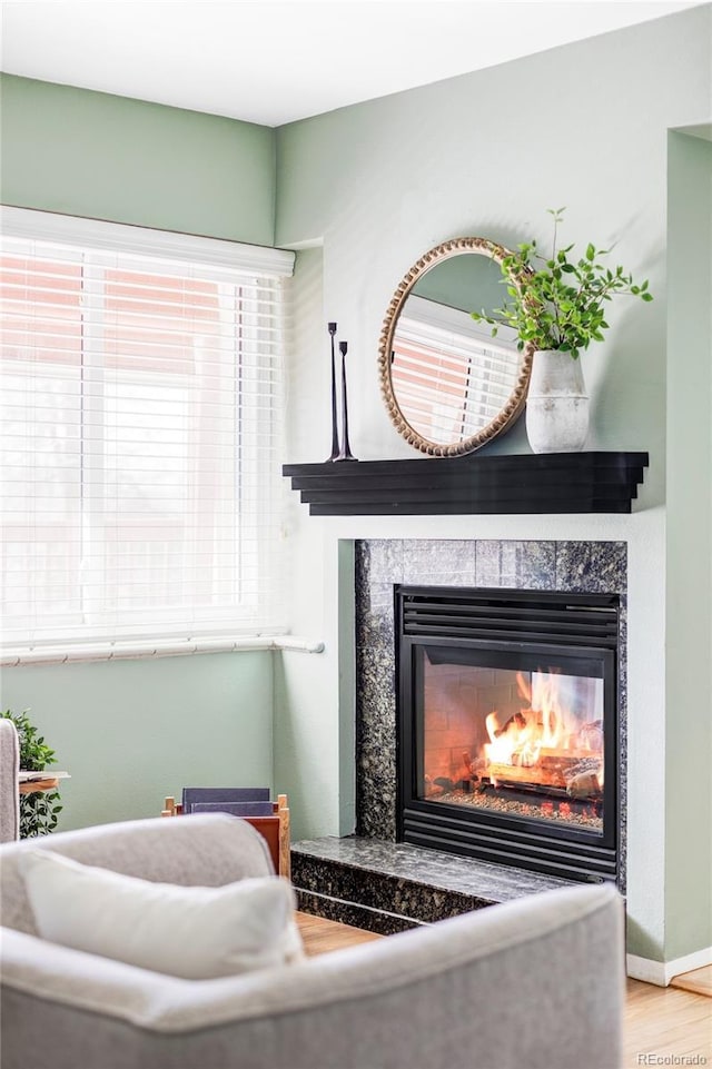 room details featuring wood finished floors, baseboards, and a premium fireplace