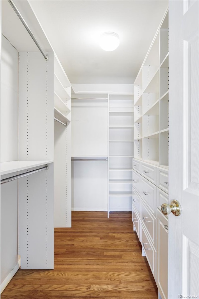 walk in closet with light wood-type flooring