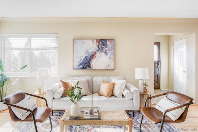 living area featuring wood finished floors