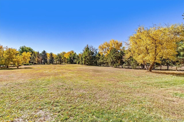 view of yard with a rural view