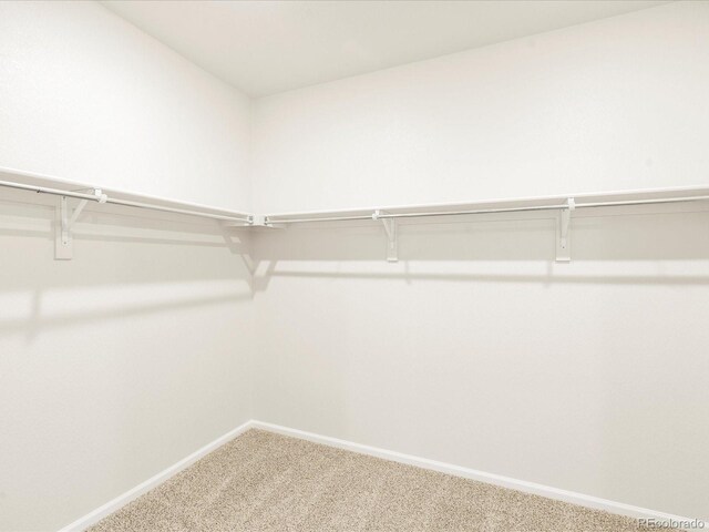 spacious closet with carpet flooring