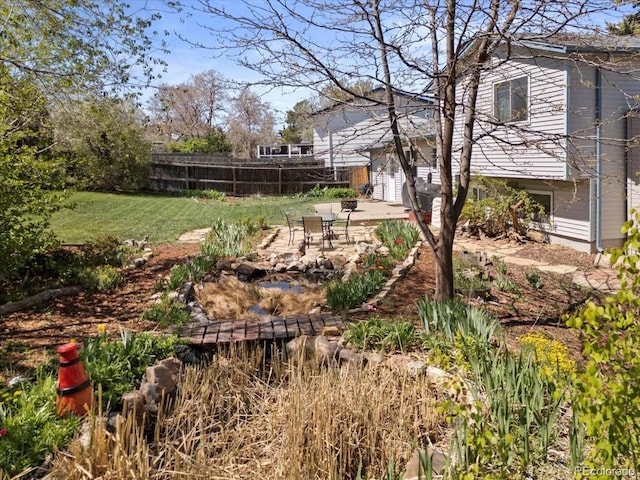 view of yard featuring a patio area