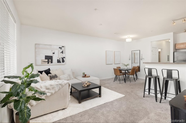 carpeted living room featuring a wealth of natural light