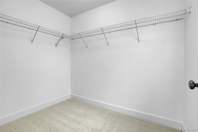 8458 Parkland St, Broomfield, CO 80021 - walk in closet with carpet