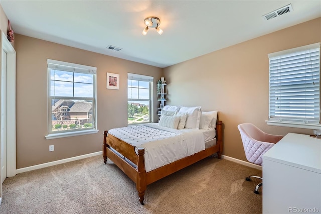 22197 E Stroll Ave, Parker, CO 80138 - carpeted bedroom with baseboards