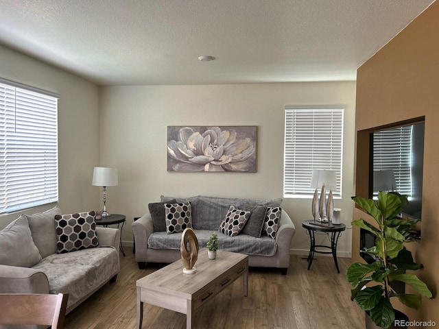 living room featuring a textured ceiling and hardwood / wood-style floors