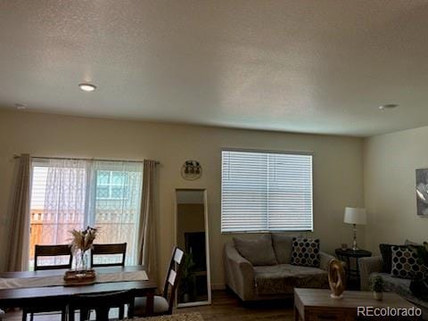 living room with a textured ceiling and hardwood / wood-style floors