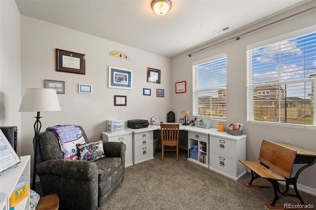 13138 Stoney Meadows Way, Peyton, CO 80831 - office with carpet flooring and baseboards