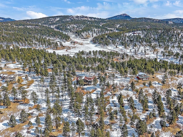 snowy aerial view with a mountain view