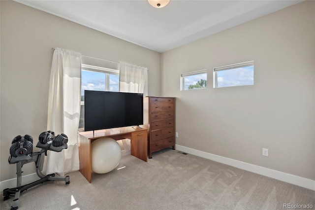 home office featuring a wealth of natural light, light carpet, and baseboards