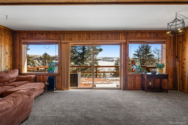 carpeted living room with a mountain view, wooden walls, radiator, and a healthy amount of sunlight