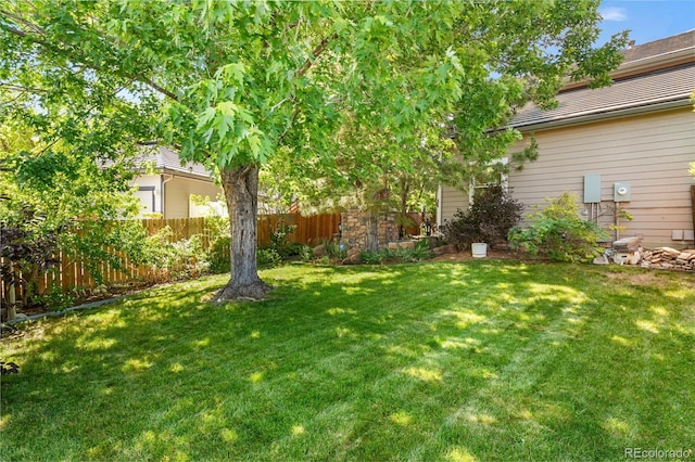 9365 Erminedale Dr, Lone Tree, CO 80124 - view of yard