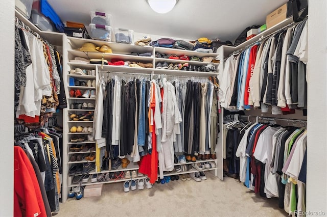 walk in closet featuring carpet floors