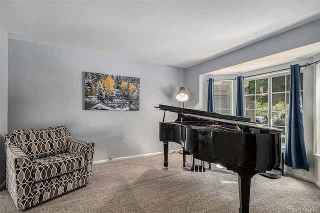 9924 Silver Maple Way, Highlands Ranch, CO 80129 - living area featuring carpet flooring and baseboards