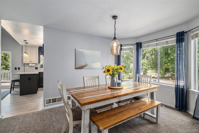 9924 Silver Maple Way, Highlands Ranch, CO 80129 - dining space featuring plenty of natural light and light colored carpet