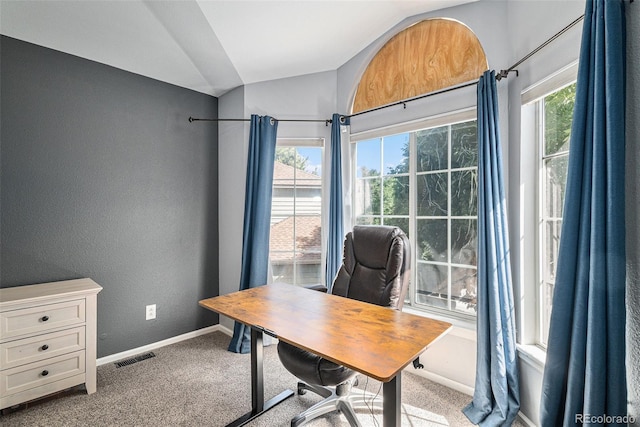 9924 Silver Maple Way, Highlands Ranch, CO 80129 - carpeted home office with vaulted ceiling, plenty of natural light, and a textured wall