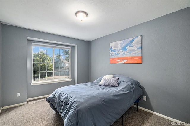 9924 Silver Maple Way, Highlands Ranch, CO 80129 - carpeted bedroom with baseboards