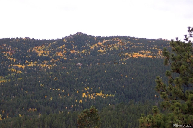 property view of mountains featuring a wooded view