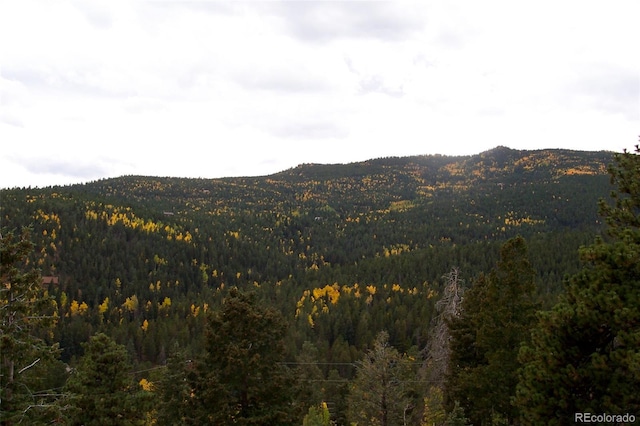 view of mountain feature featuring a forest view