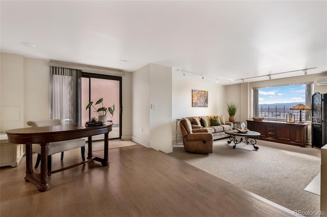 1020 15th St Unit 42A, Denver, CO 80202 - living room with track lighting, wood finished floors, an AC wall unit, and baseboards