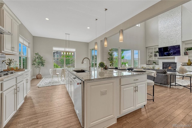 11821 Discovery Ln, Parker, CO 80138 - kitchen featuring light wood-type flooring, a stone fireplace, dishwasher, light stone counters, and recessed lighting
