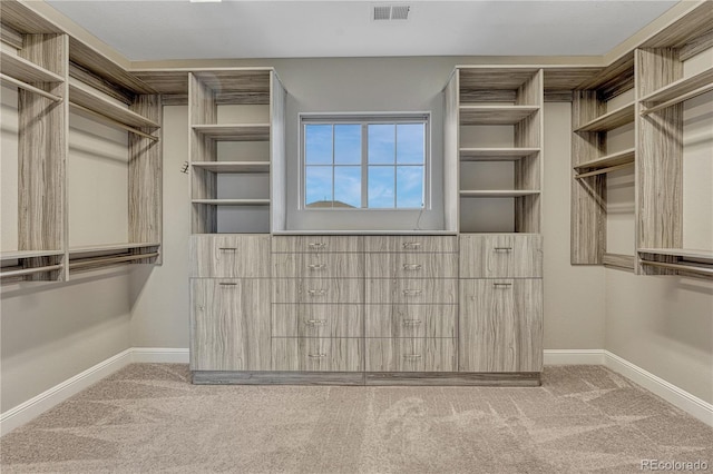 11821 Discovery Ln, Parker, CO 80138 - walk in closet with carpet