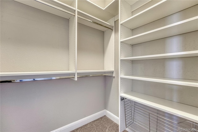 11821 Discovery Ln, Parker, CO 80138 - walk in closet with carpet flooring