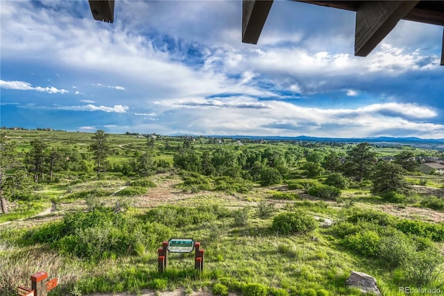 11821 Discovery Ln, Parker, CO 80138 - view of yard