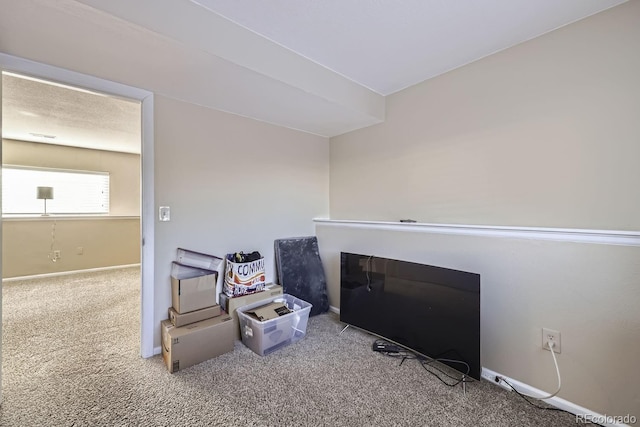 interior details with a fireplace and carpet floors