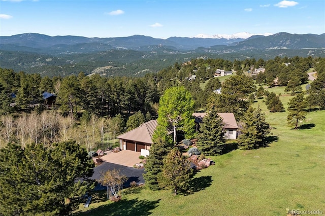 1621 Baneberry Ln, Golden, CO 80401 - photo 1