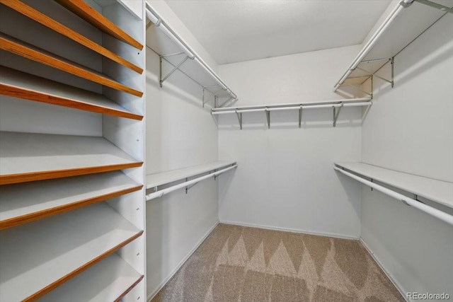 4150 Gleneagle Ct, Colorado Springs, CO 80909 - walk in closet featuring carpet flooring