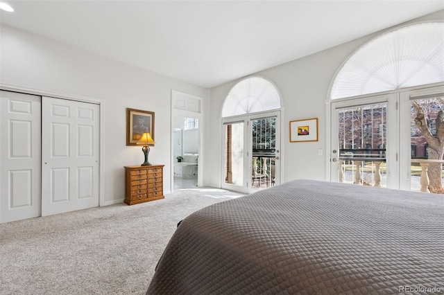 301 Garfield St Unit 1E, Denver, CO 80206 - carpeted bedroom with access to exterior and a closet