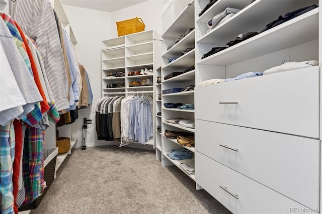 301 Garfield St Unit 1E, Denver, CO 80206 - walk in closet featuring carpet flooring