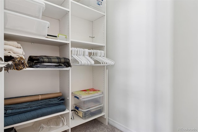 301 Garfield St Unit 1E, Denver, CO 80206 - walk in closet featuring carpet flooring