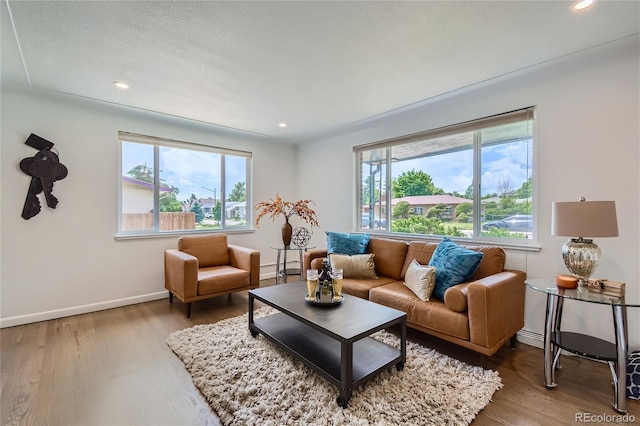 living room with plenty of natural light, a textured ceiling, and hardwood / wood-style flooring